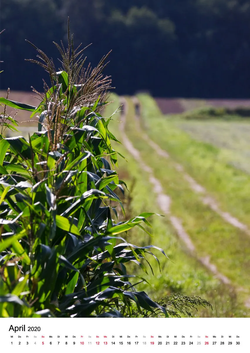 Wege in der Feldmark
