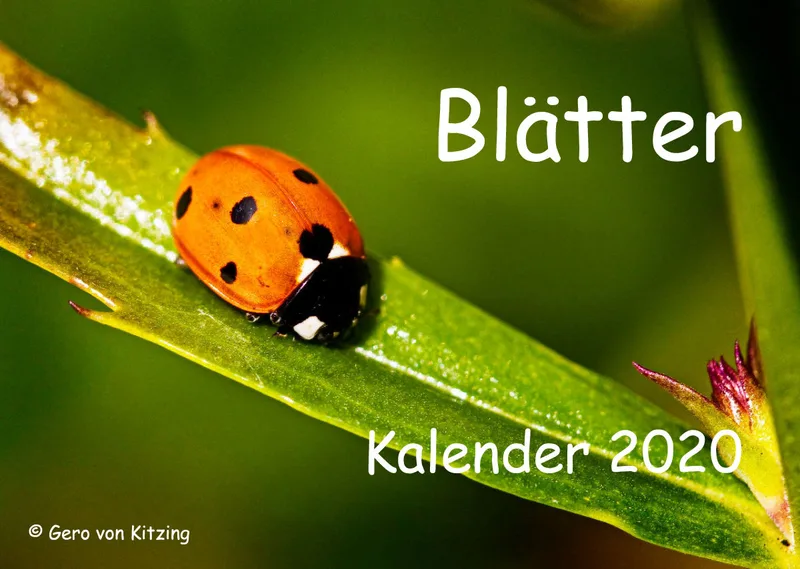 Blätter