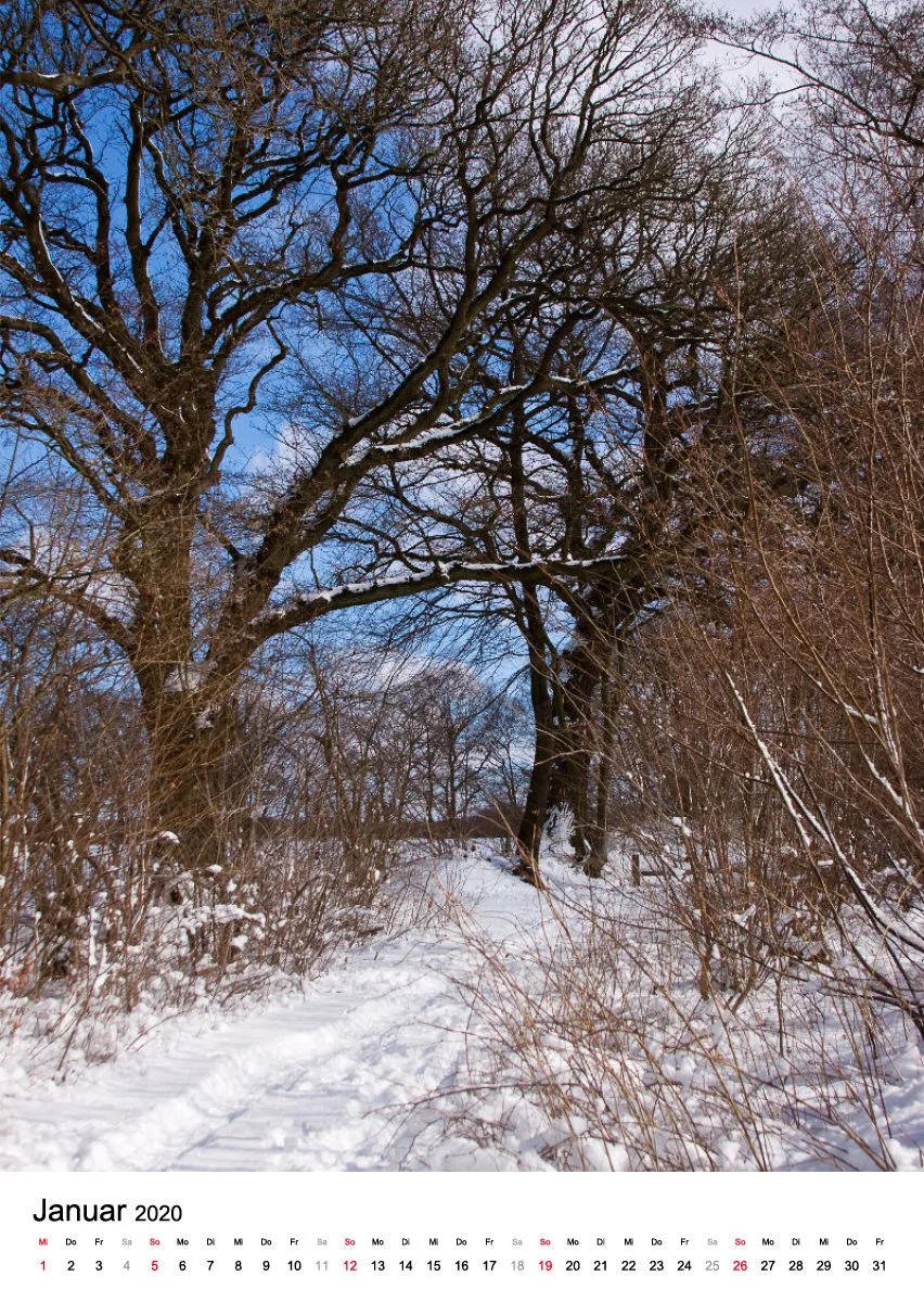 Wege in der Feldmark
