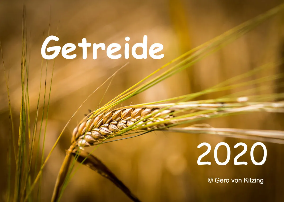Getreide