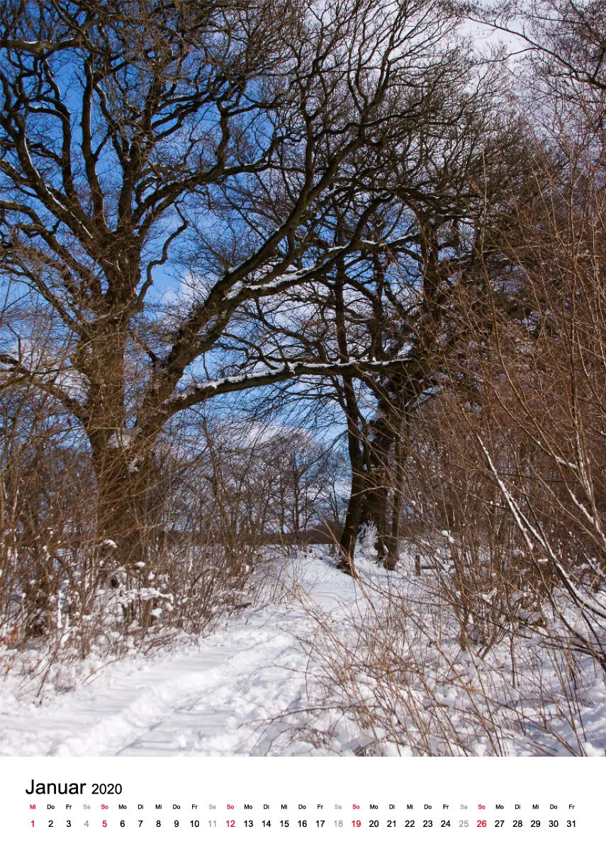 Wege in der Feldmark