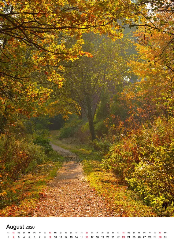 Wege in der Feldmark