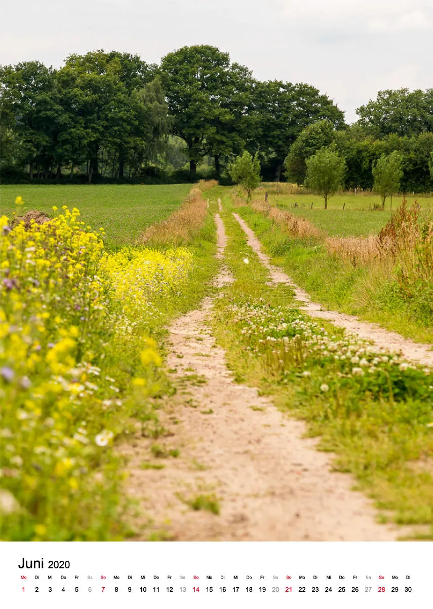 Wege in der Feldmark