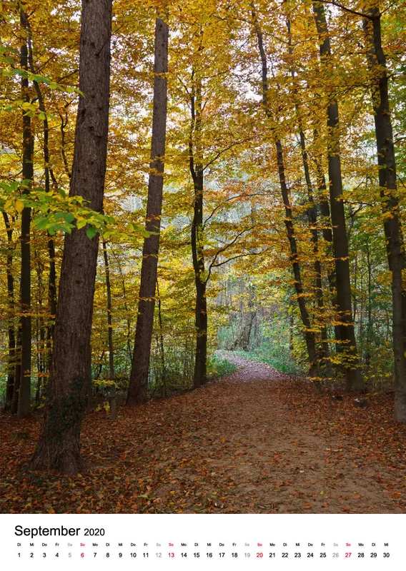 Wege in der Feldmark