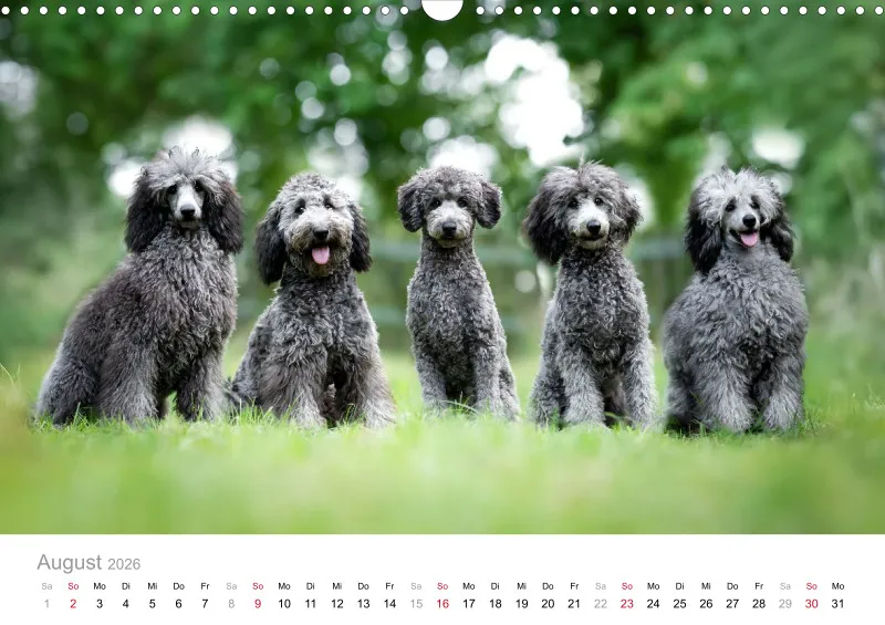 Berlin Ghost's Kalender 2026 A3