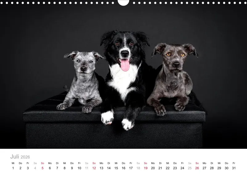 Elegance Unleashed Portraits on Black Kalender 2026 A3