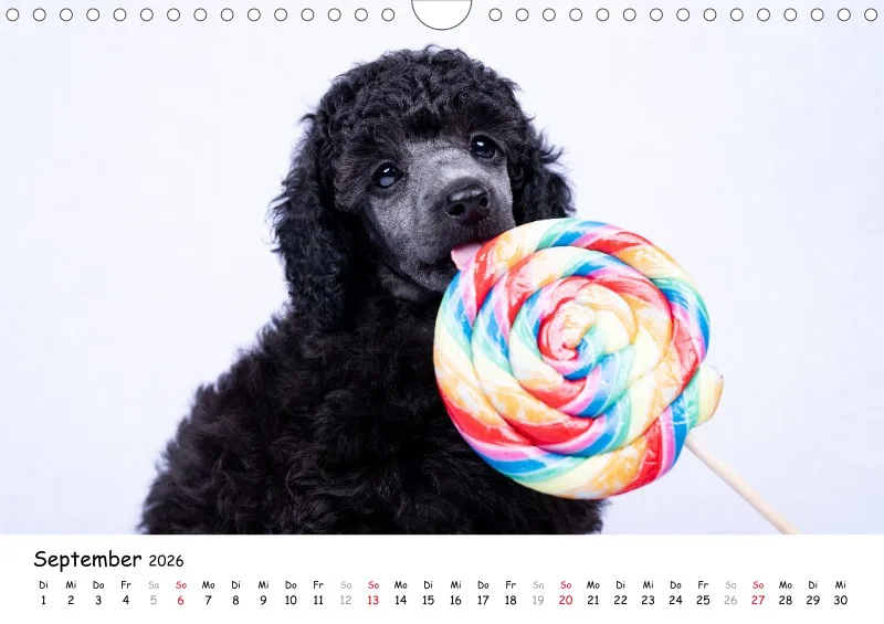 Berlin Ghost's Kalender 2026 A4
