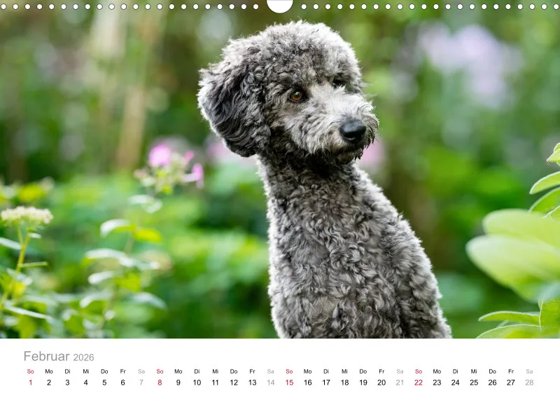 Berlin Ghost's Kalender 2026 A3
