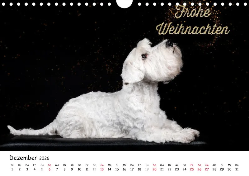 Elegance Unleashed Portraits on Black Kalender 2026 A4