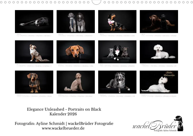 Elegance Unleashed Portraits on Black Kalender 2026 A3