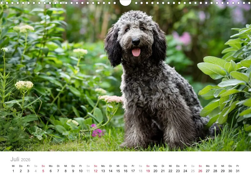 Berlin Ghost's Kalender 2026 A3
