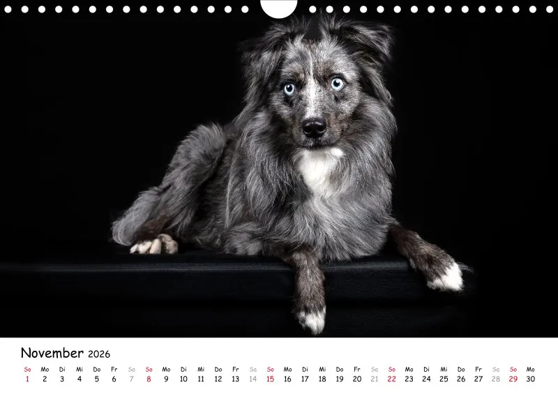 Elegance Unleashed Portraits on Black Kalender 2026 A4
