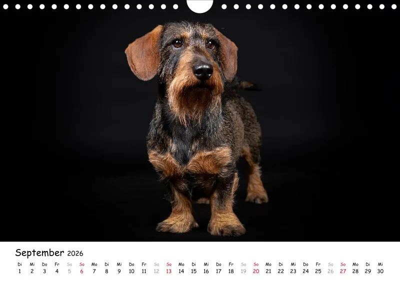 Elegance Unleashed Portraits on Black Kalender 2026 A4