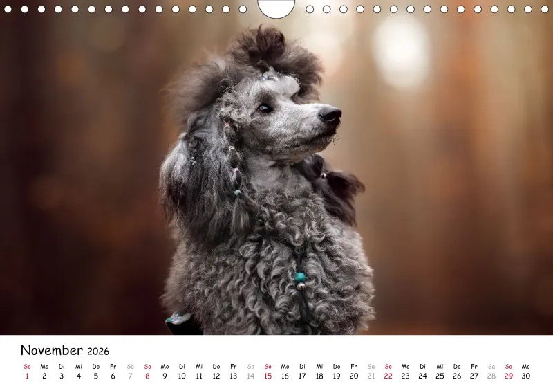 Berlin Ghost's Kalender 2026 A4
