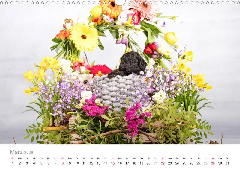 Berlin Ghost's Kalender 2026 A3