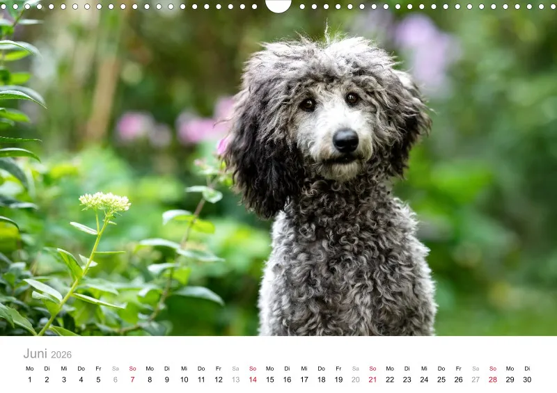 Berlin Ghost's Kalender 2026 A3