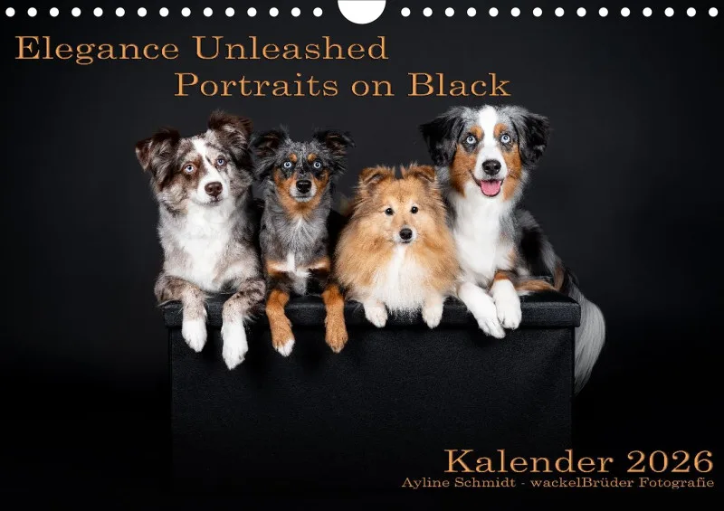 Elegance Unleashed Portraits on Black Kalender 2026 A4