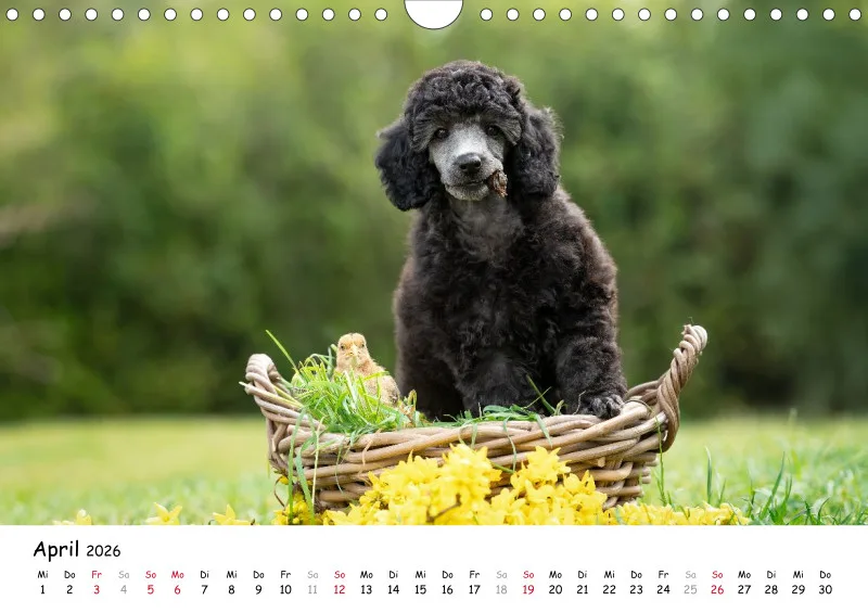 Berlin Ghost's Kalender 2026 A4