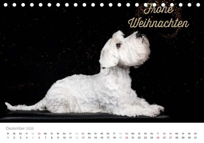 Elegance Unleashed Portraits on Black Tischkalender 2026 A5