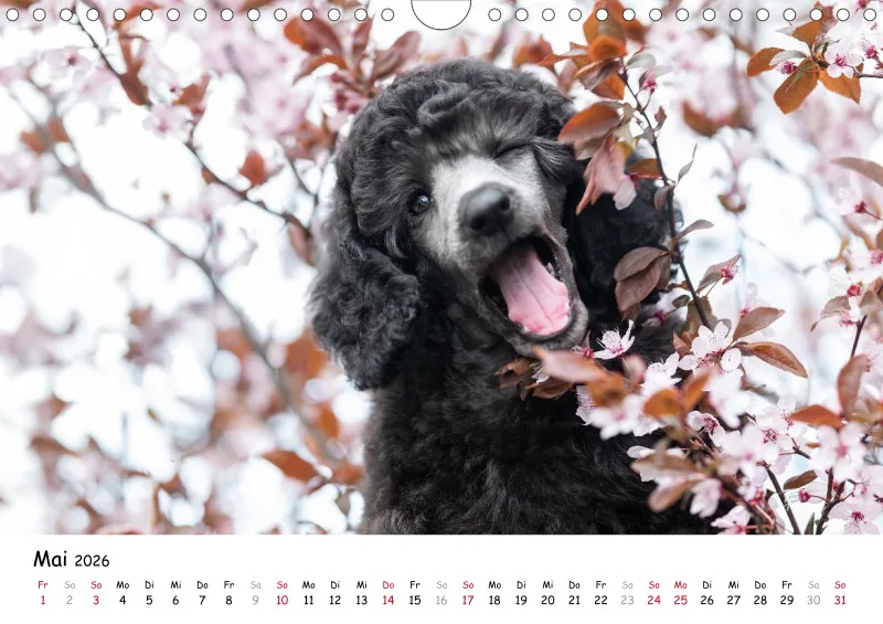 Berlin Ghost's Kalender 2026 A4