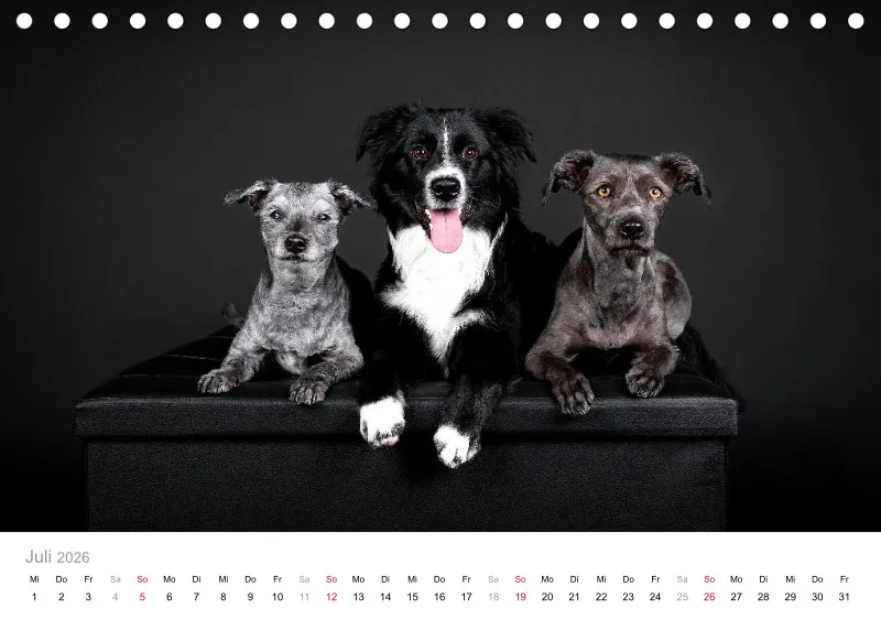 Elegance Unleashed Portraits on Black Tischkalender 2026 A5