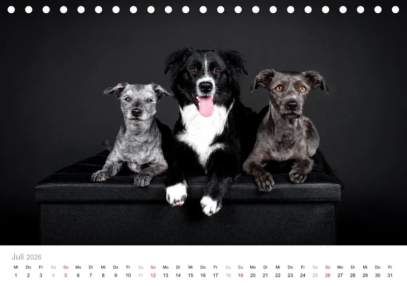 Elegance Unleashed Portraits on Black Tischkalender 2026 A5