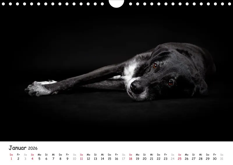 Elegance Unleashed Portraits on Black Kalender 2026 A4