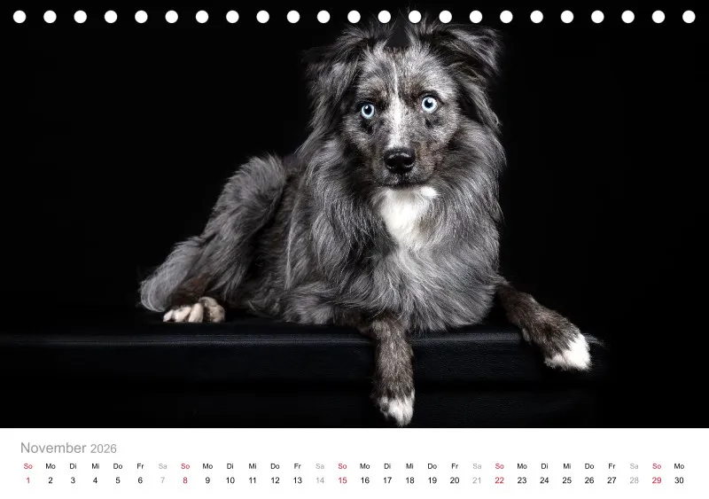 Elegance Unleashed Portraits on Black Tischkalender 2026 A5