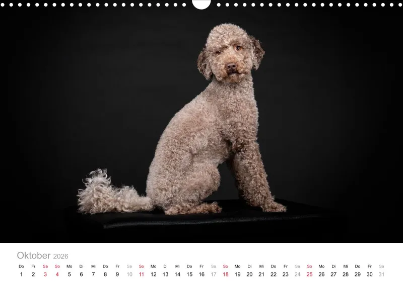 Elegance Unleashed Portraits on Black Kalender 2026 A3