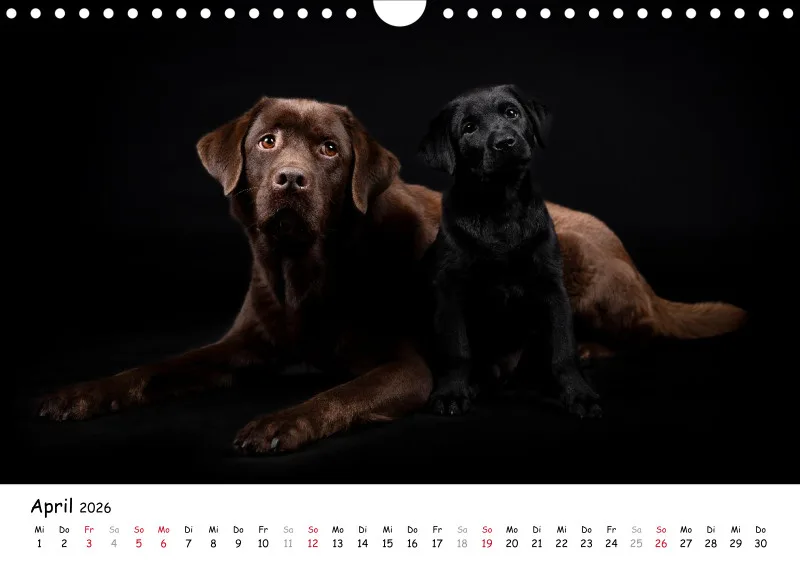 Elegance Unleashed Portraits on Black Kalender 2026 A4