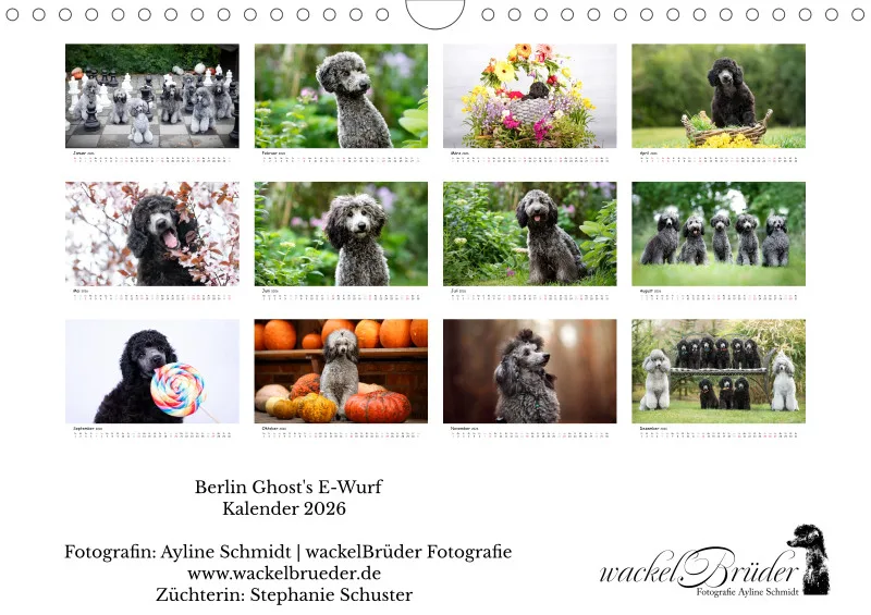Berlin Ghost's Kalender 2026 A4