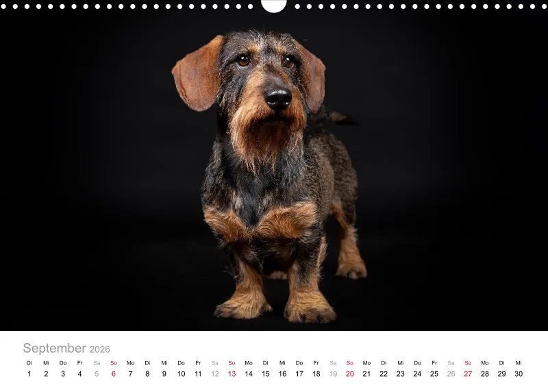 Elegance Unleashed Portraits on Black Kalender 2026 A3