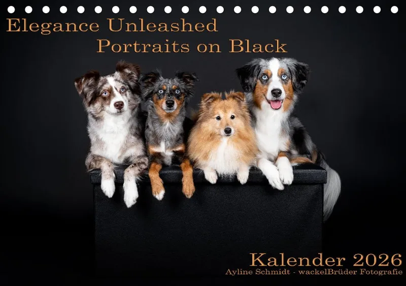Elegance Unleashed Portraits on Black Tischkalender 2026 A5