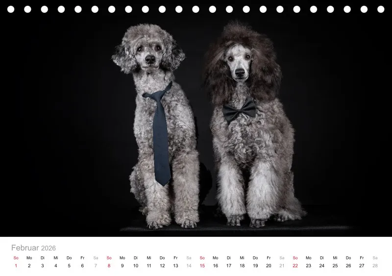 Elegance Unleashed Portraits on Black Tischkalender 2026 A5