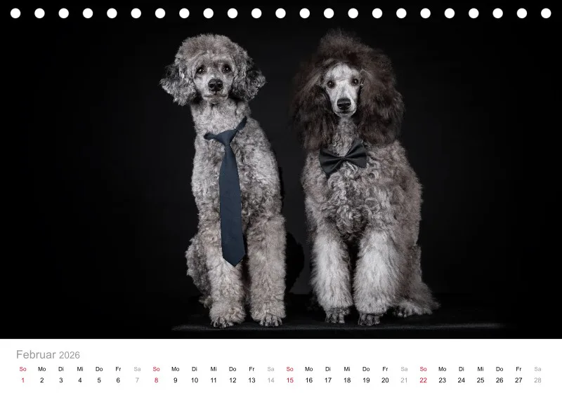 Elegance Unleashed Portraits on Black Tischkalender 2026 A5