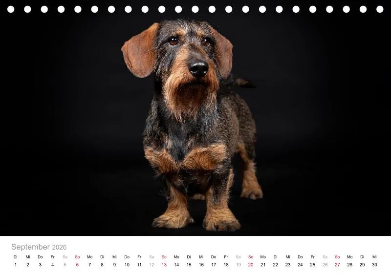 Elegance Unleashed Portraits on Black Tischkalender 2026 A5