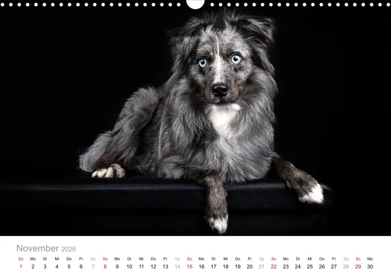 Elegance Unleashed Portraits on Black Kalender 2026 A3