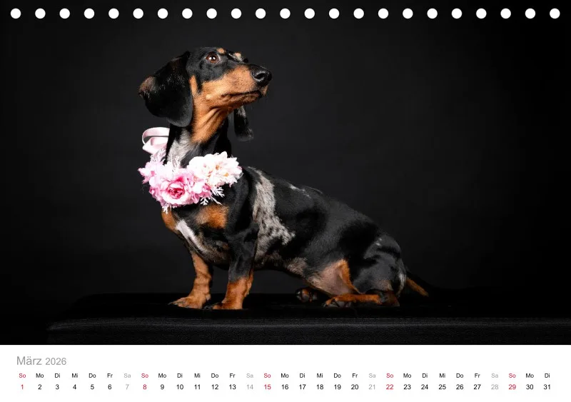 Elegance Unleashed Portraits on Black Tischkalender 2026 A5