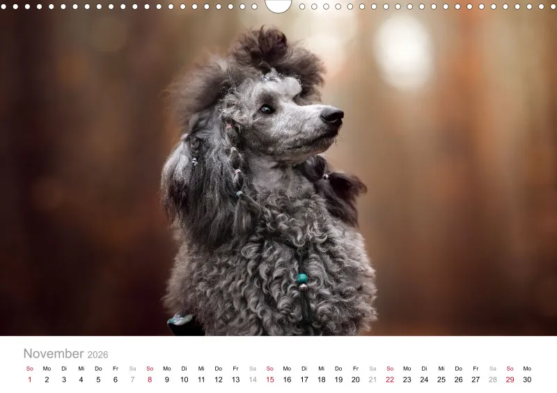 Berlin Ghost's Kalender 2026 A3