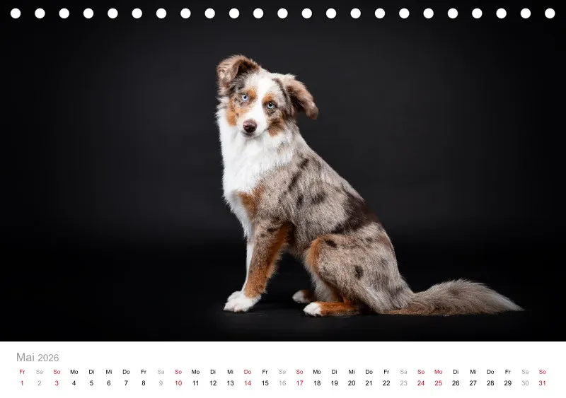 Elegance Unleashed Portraits on Black Tischkalender 2026 A5