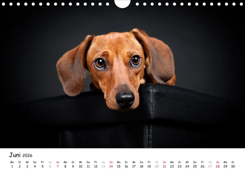 Elegance Unleashed Portraits on Black Kalender 2026 A4