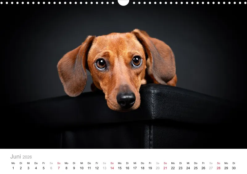 Elegance Unleashed Portraits on Black Kalender 2026 A3