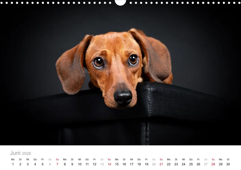 Elegance Unleashed Portraits on Black Kalender 2026 A3