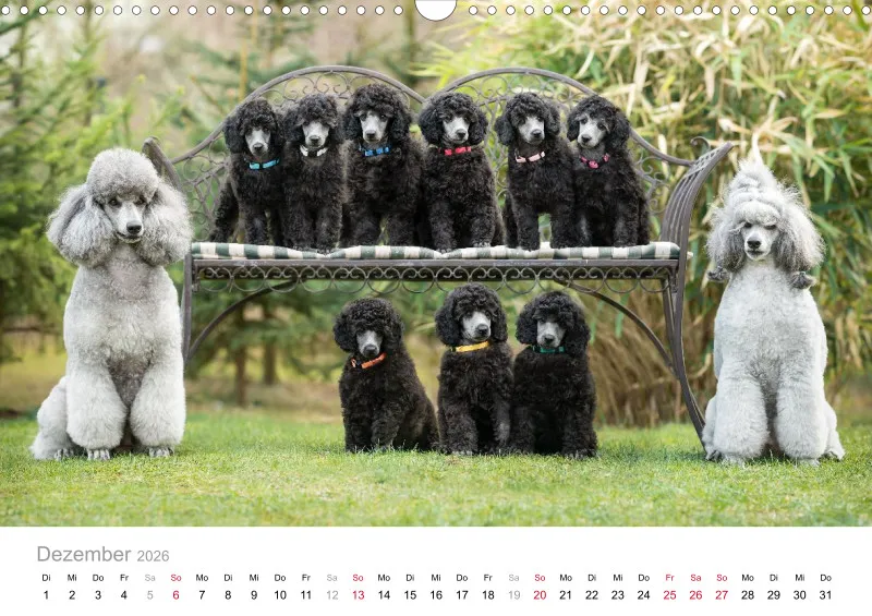 Berlin Ghost's Kalender 2026 A3