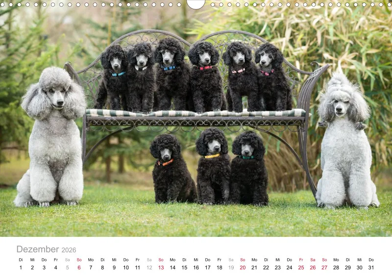 Berlin Ghost's Kalender 2026 A3