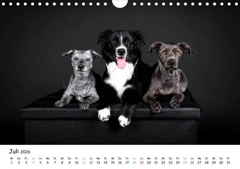 Elegance Unleashed Portraits on Black Kalender 2026 A4