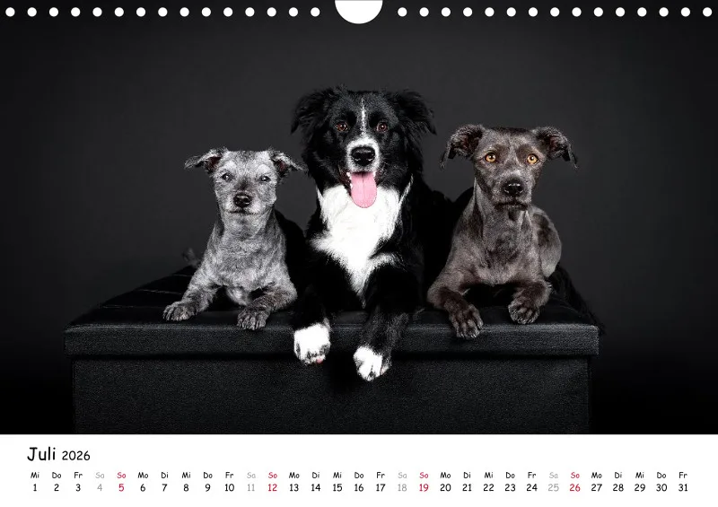 Elegance Unleashed Portraits on Black Kalender 2026 A4
