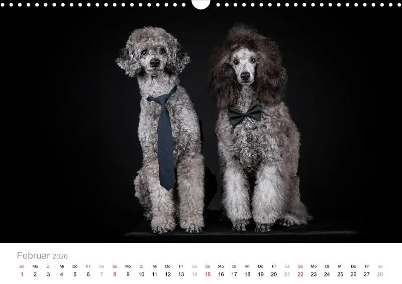 Elegance Unleashed Portraits on Black Kalender 2026 A3