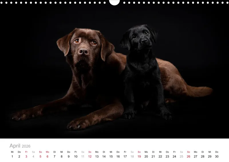 Elegance Unleashed Portraits on Black Kalender 2026 A3