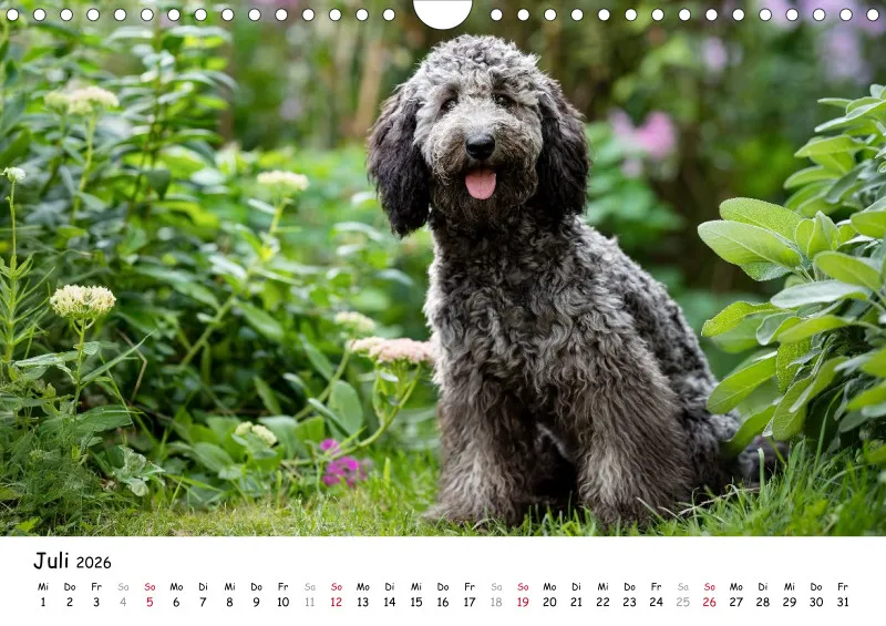 Berlin Ghost's Kalender 2026 A4
